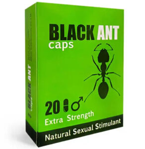 Black ant